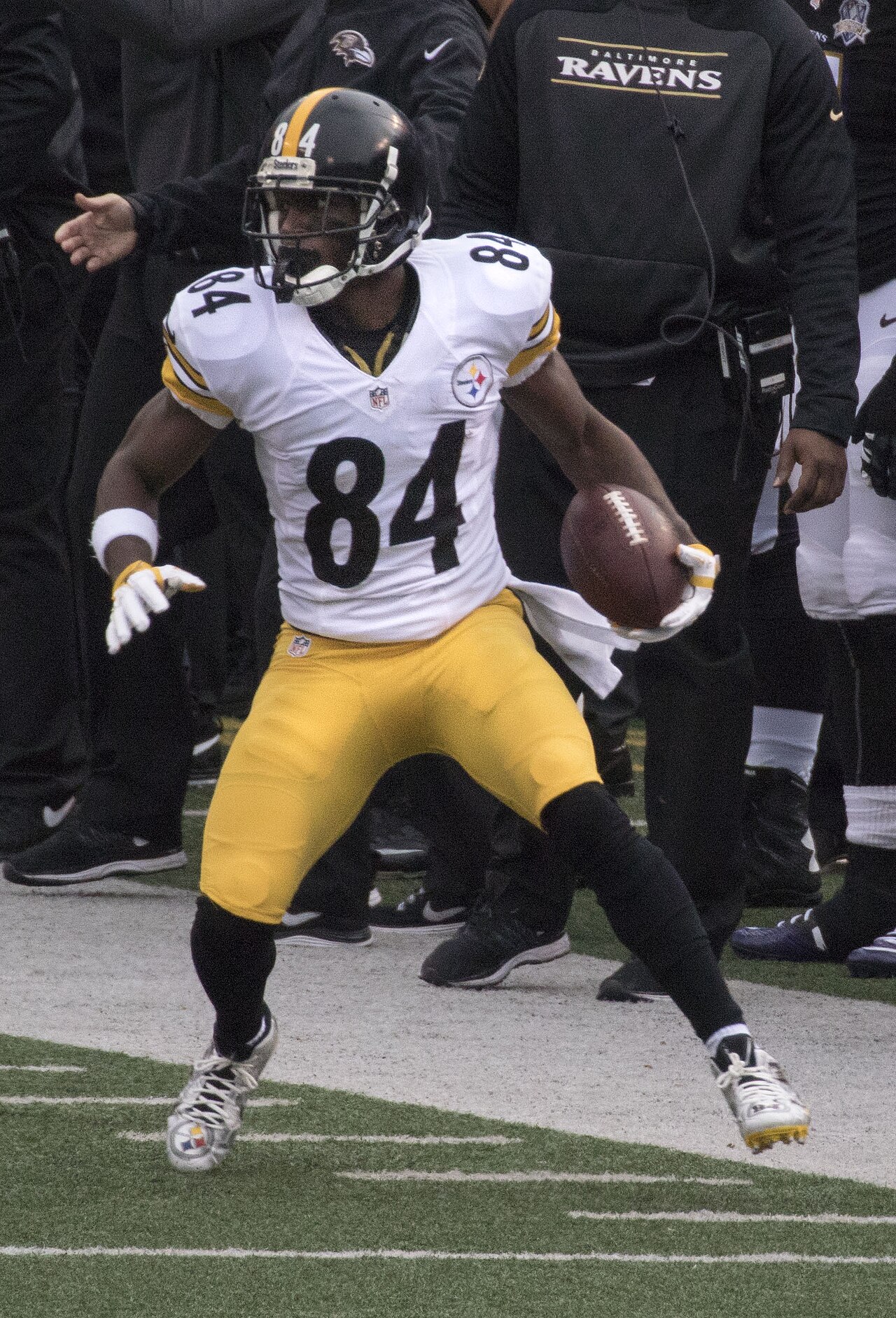 Portrait of Antonio Brown