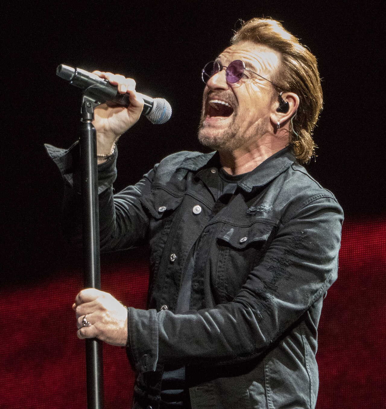 Portrait de Bono