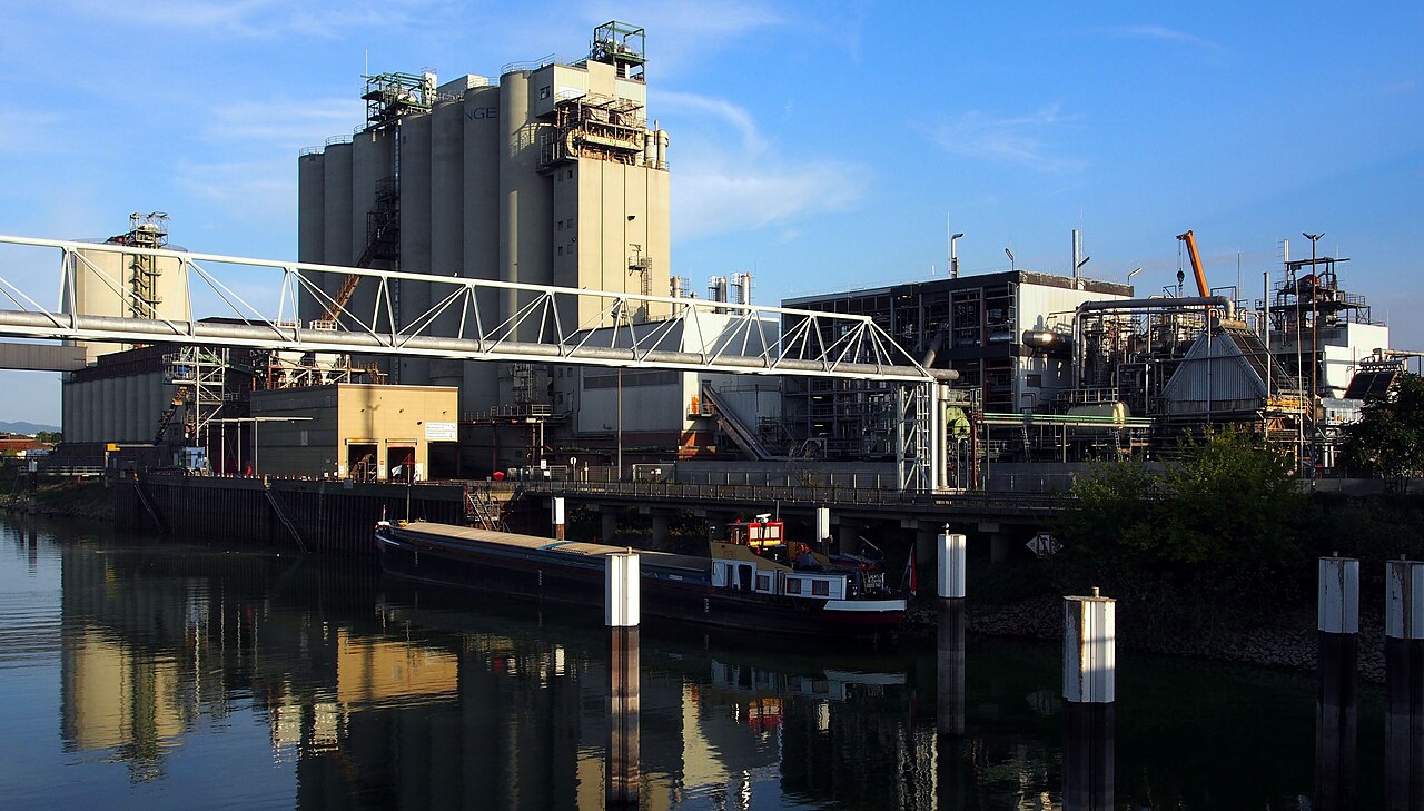 Portrait of Bunge Global
