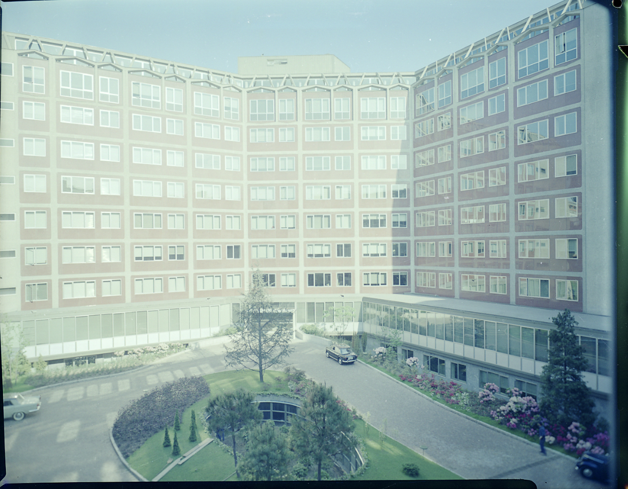 Portrait of Deloitte