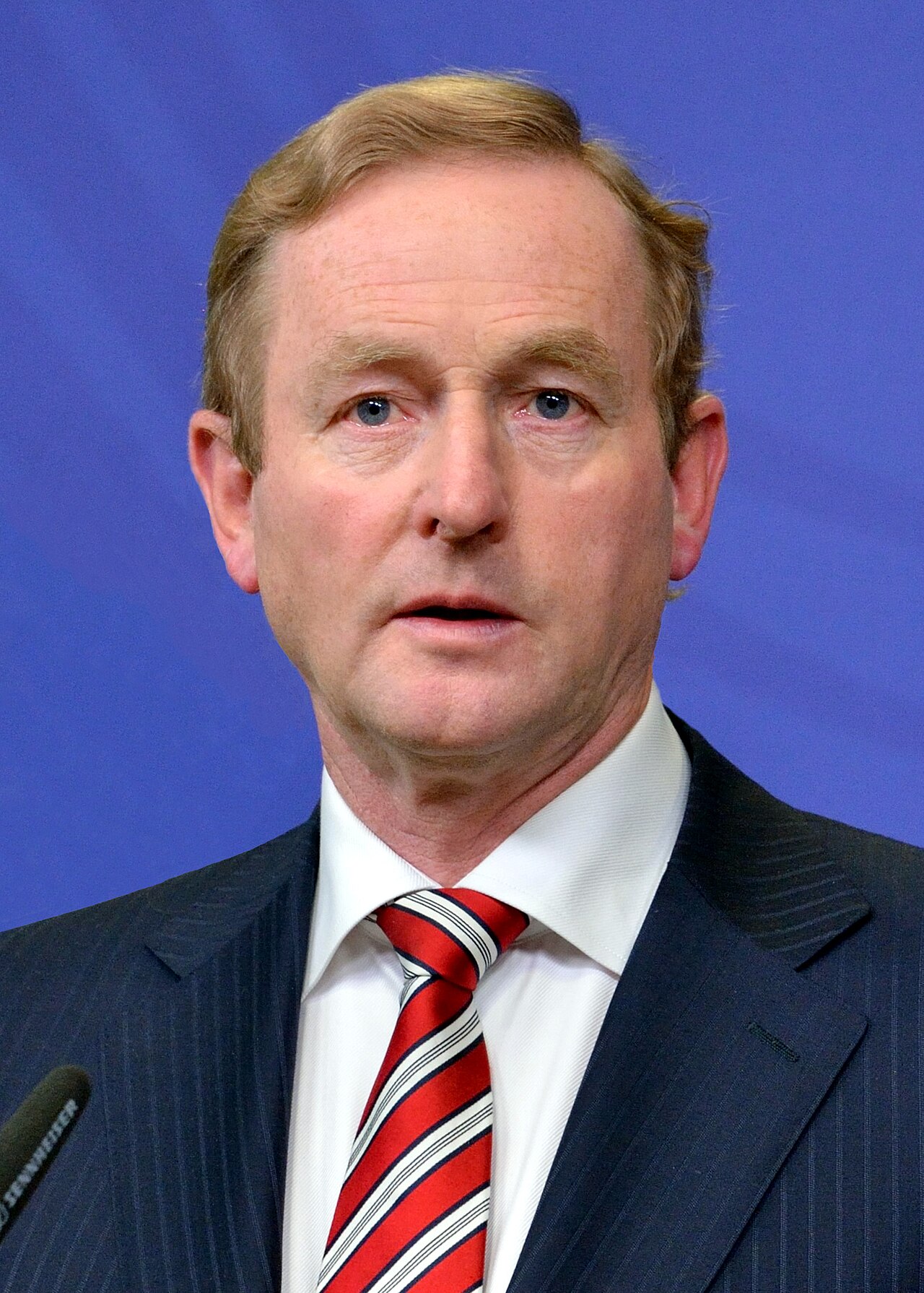 Portrait de Enda Kenny