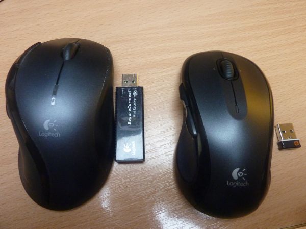 Portrait de Evolution