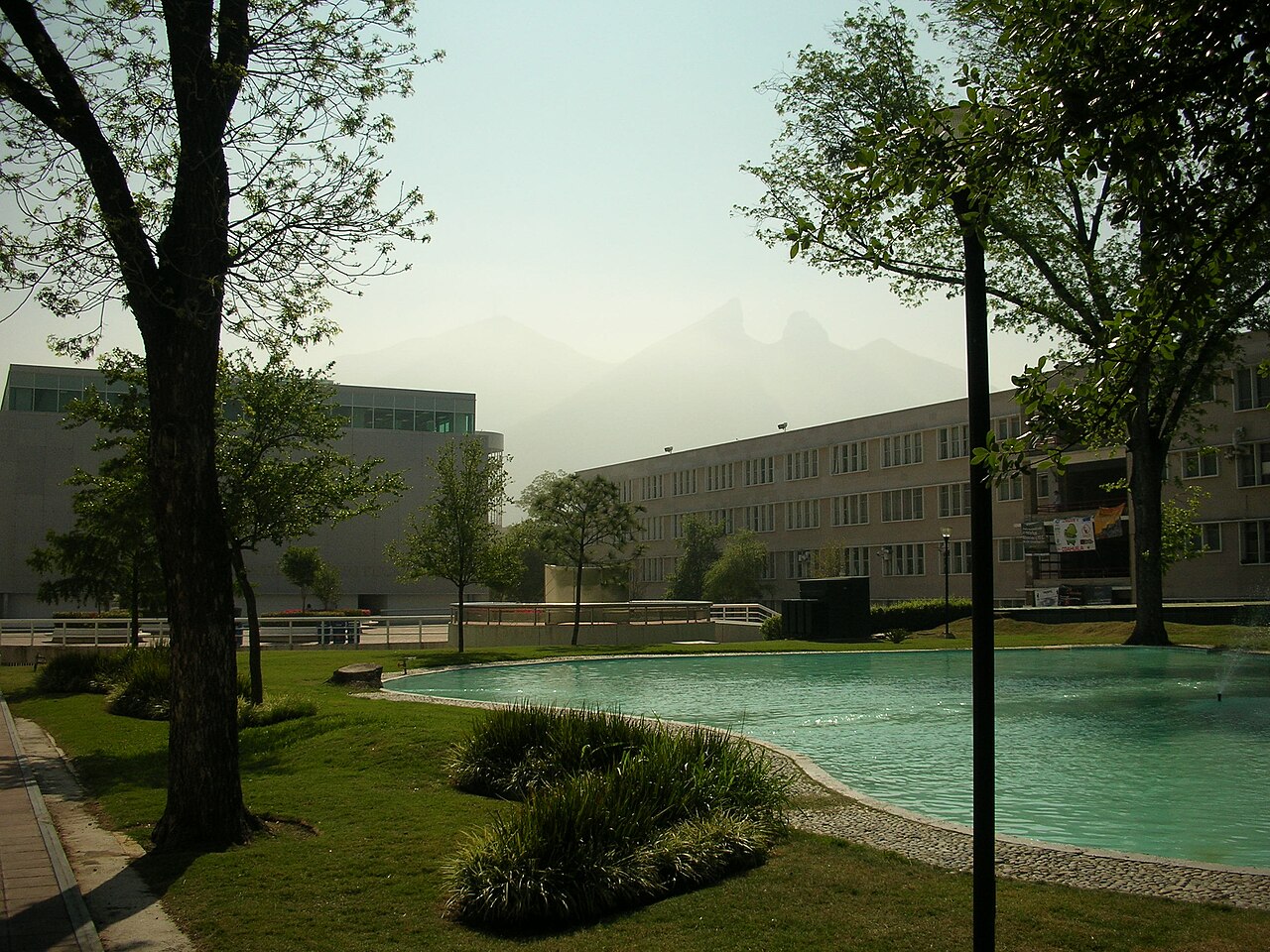 Portrait de FEMSA