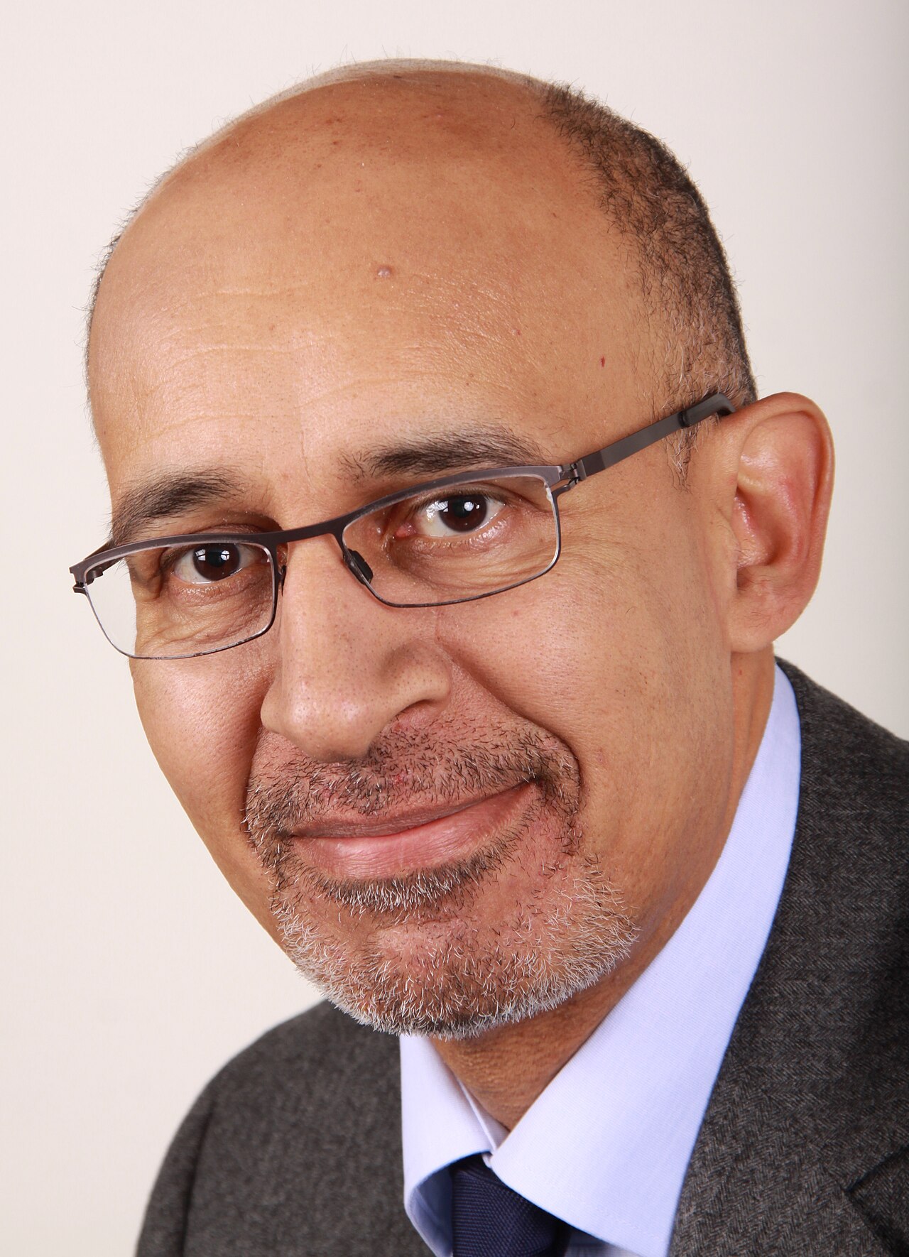 Portrait de Harlem Désir