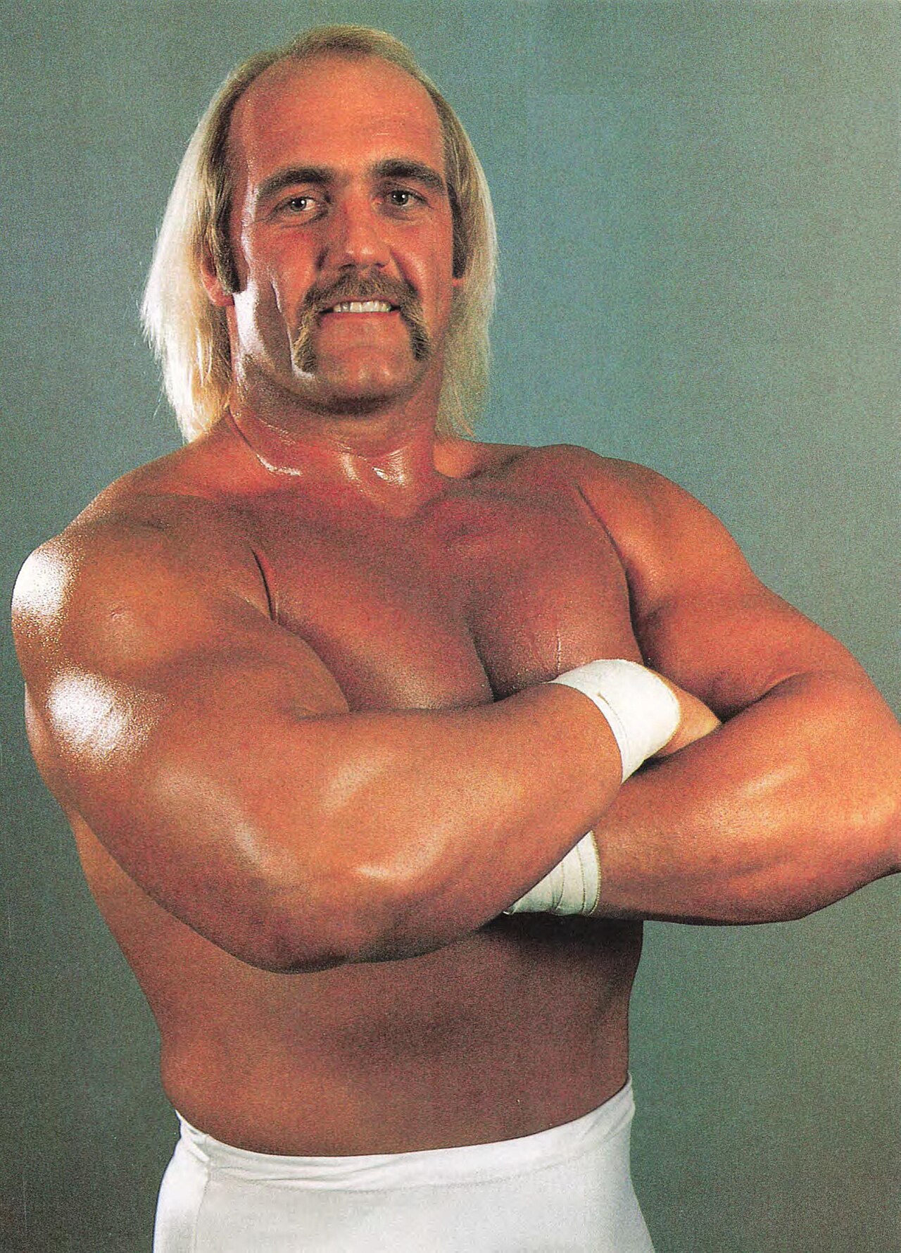 Portrait de Hulk Hogan