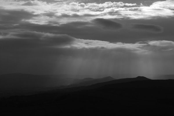 Portrait de Light & Wonder