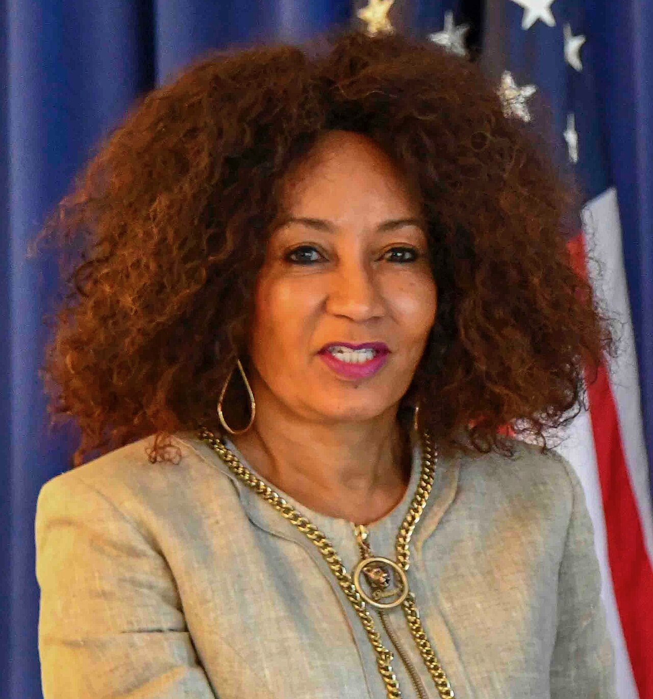 Portrait de Lindiwe Sisulu