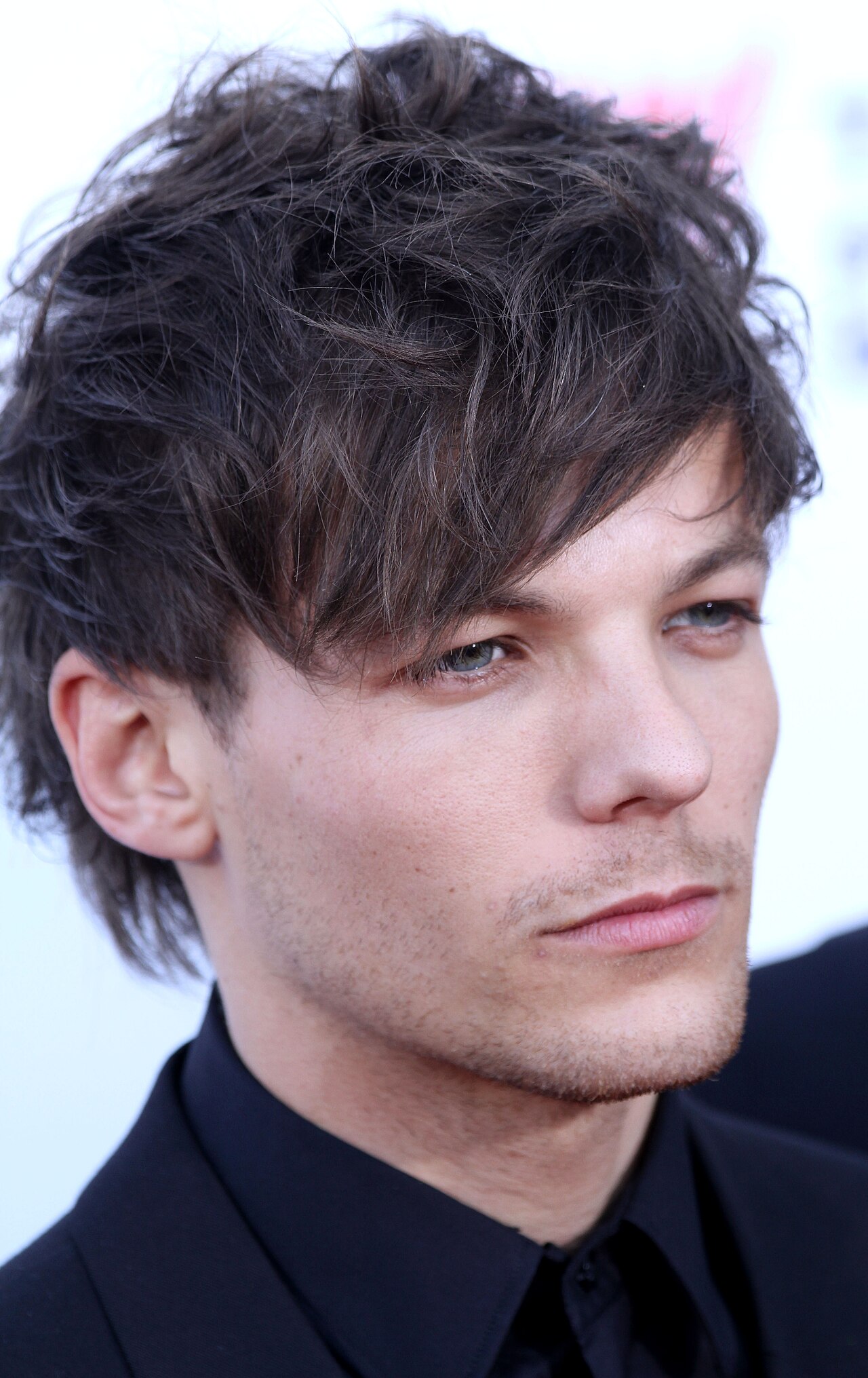 Portrait of Louis Tomlinson
