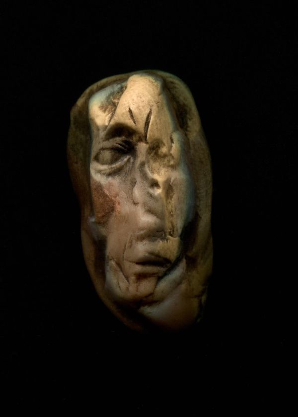 Portrait of Martin Shkreli