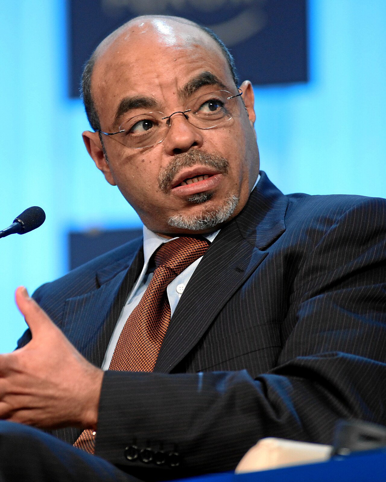 Portrait de Meles Zenawi