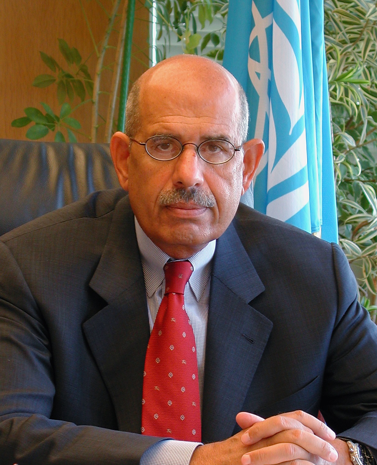 Portrait de Mohamed ElBaradei