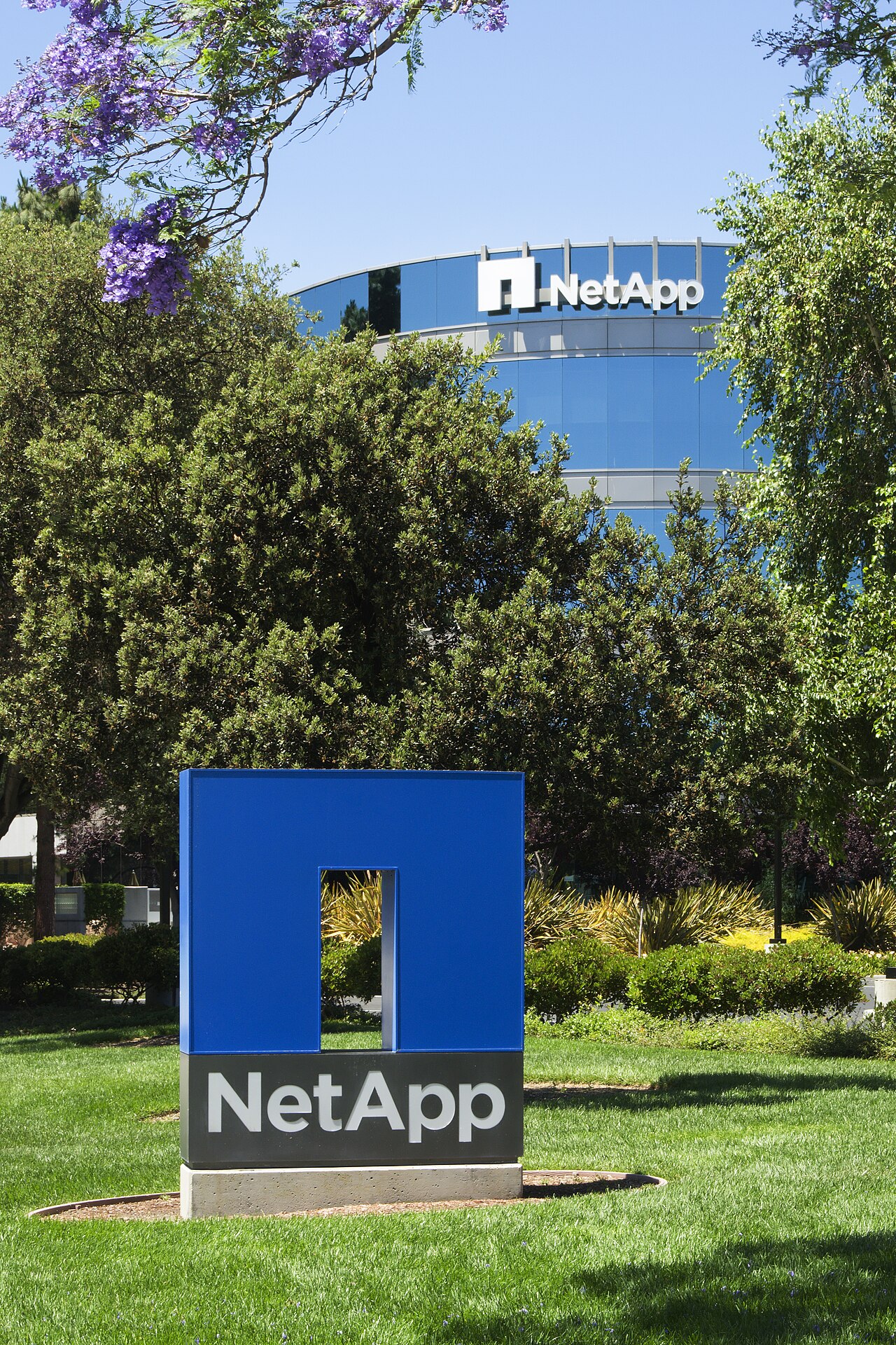 Portrait de NetApp