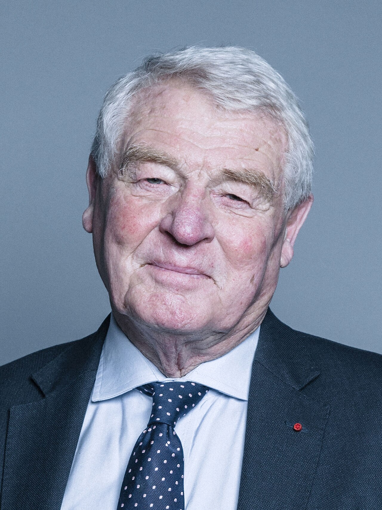 Portrait of Paddy Ashdown