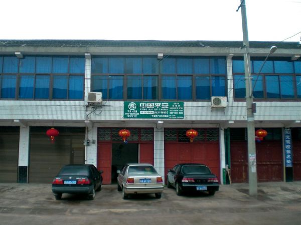 Portrait of Ping An Insurance