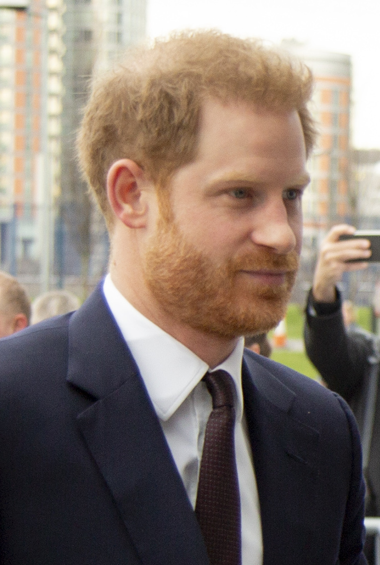 Portrait of Prince Harry