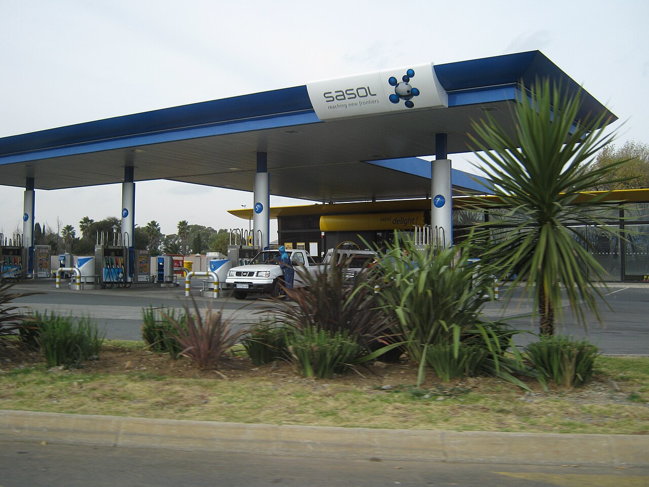 Portrait de Sasol