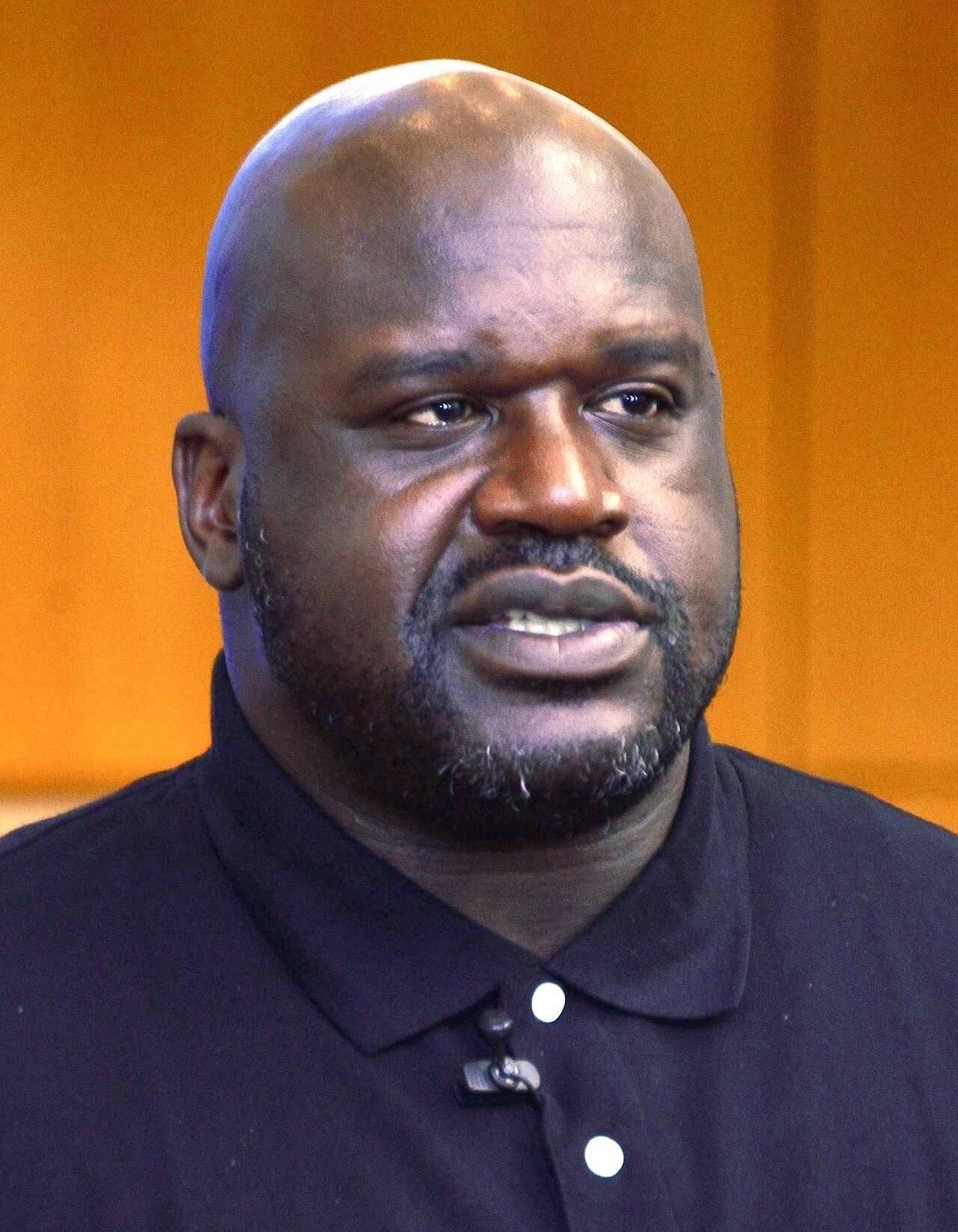 Portrait de Shaquille O'Neal