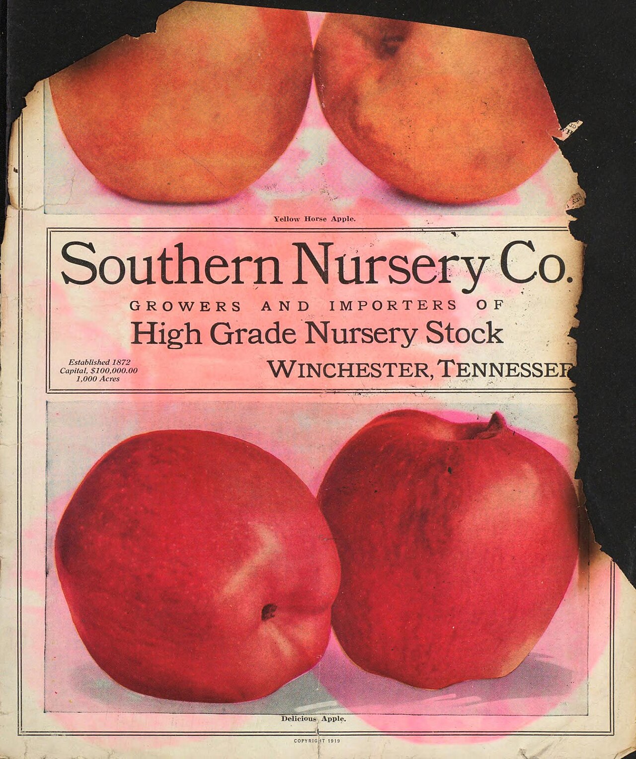 Portrait de Southern Company