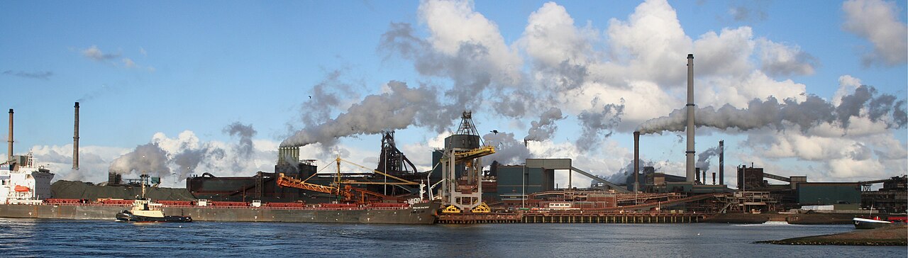Portrait de Tata Steel