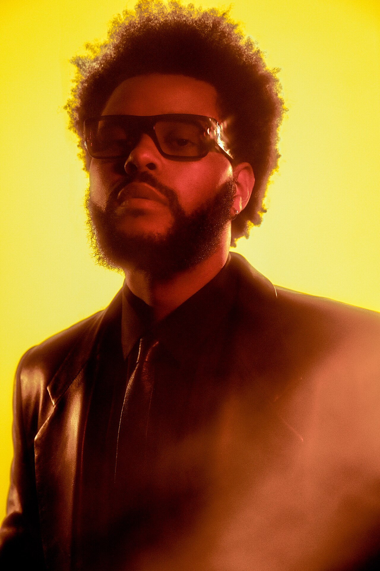 Portrait de The Weeknd