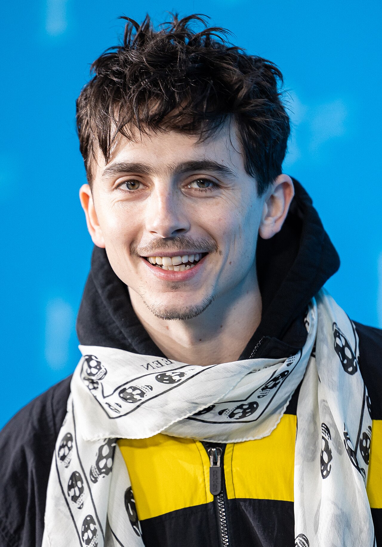 Portrait de Timothée Chalamet