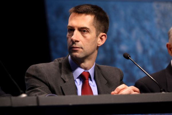 Portrait de Tom Cotton