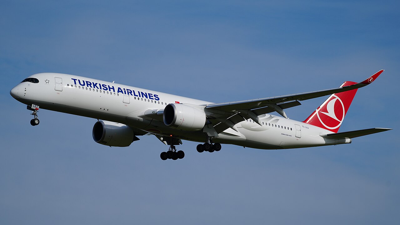 Portrait of Turkish Airlines