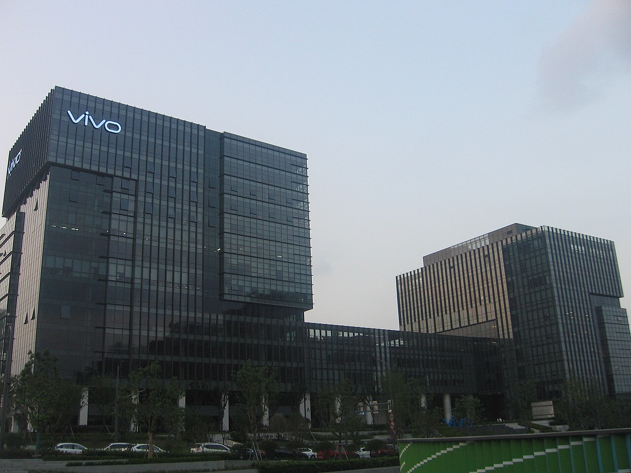 Portrait of vivo